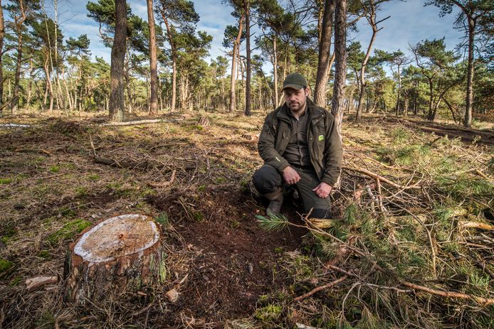Rick Staudt, boa en terreinbeheerder, in de natuur. Die steeds vaker wordt verstoord door recreanten en loslopende honden.