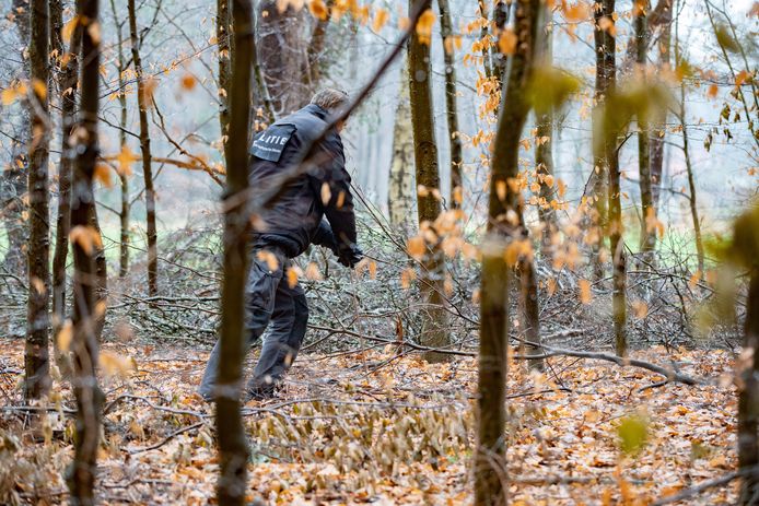 Een politieagent doorzoekt het bos bij de mysterieuze kuil met een prikstok.