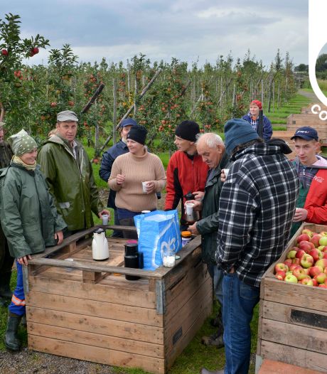 Hoe meer zielen, hoe meer vreugd?