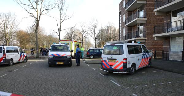 Burgemeester Spijkenisse spreekt afschuw uit over geweld jongeren na steekpartij .