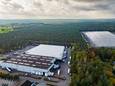 Bijna 5 hectare van dit bos zouden gekapt worden om een logistiek centrum in Eerbeek mogelijk te maken, maar een milieucommissie denkt dat dat niet per se nodig is.