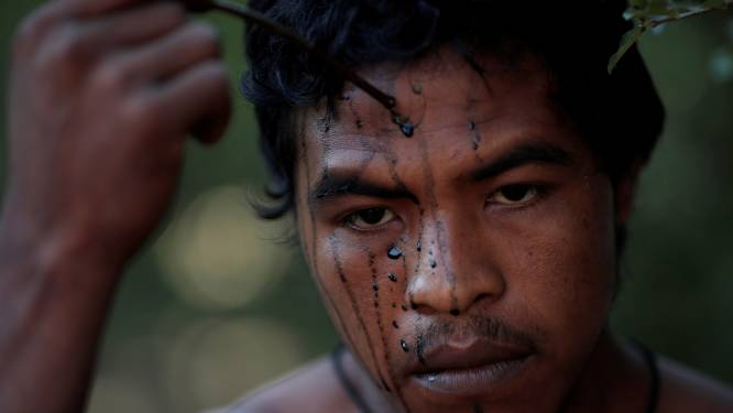 Bekende Braziliaanse beschermer Amazone vermoord door illegale houtkappers