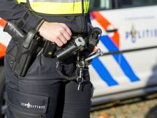 Inbreker rent tijdens vlucht tegen boom en raakt bewusteloos