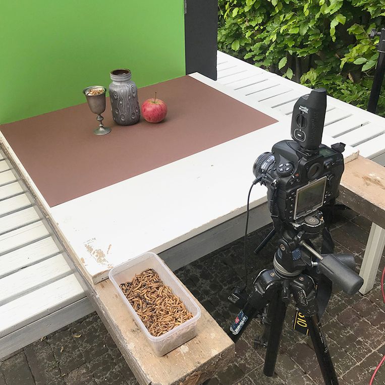 De fotostudio in de tuin van de fotograaf. Beeld Hans van Asch