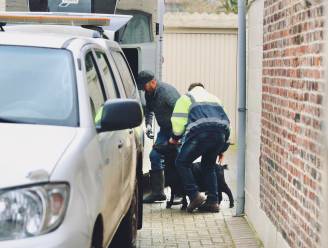 Verdacht overlijden in Heers: drie arrestaties en geiten in de woonkamer. “‘Ik houw je de kop in’, riep de dochter soms haar ouders toe”