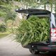 Kerstboom vervoeren in de auto: pas op voor een boete