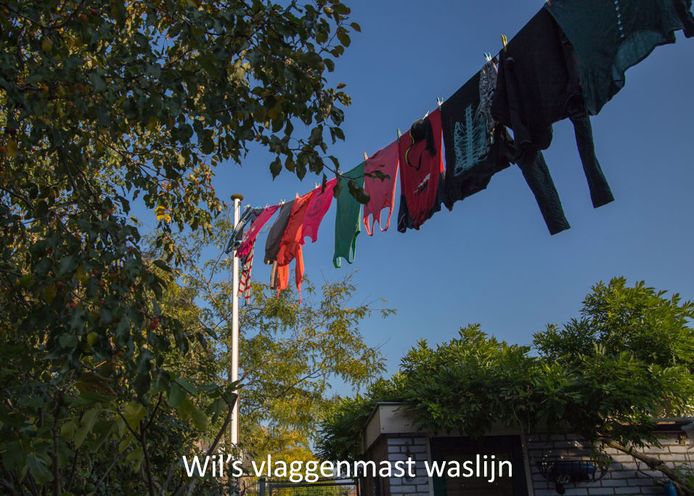Metershoog boven de jaren ’70 woonwijk in Harmelen waait het wasgoed in de wind. Vanuit de wijde omgeving is de waslijn goed zichtbaar. Wil hijst al 20 jaar lang de was van haar kinderen en haar moeder omhoog via de 4 meter hoge vlaggenmast in haar achtertuin. Deze waslijn loopt vanaf de eerste verdieping van haar huis tot aan de top van de vlaggenmast.