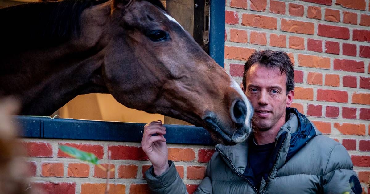 Springruiter Harrie Smolders beleeft topjaar: ‘Ik ben al blij als ik een paard in topvorm heb voor P