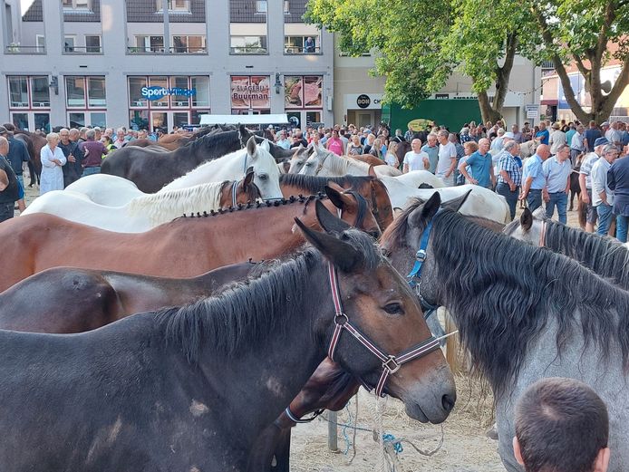 Paardenmarkt in Bemmel.