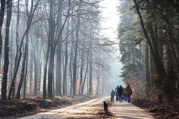 De jaarlijkse Baden-Powelltocht is komende zaterdag in de bossen rond Putten.