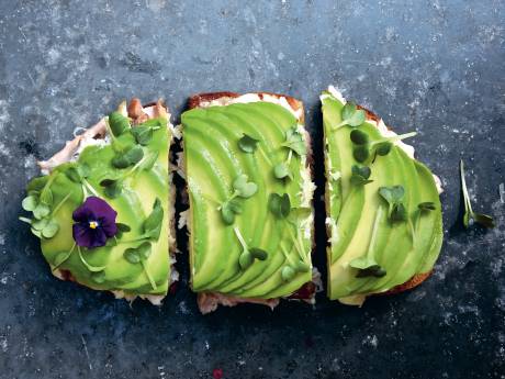 Deze Nederlandse stad speelt een superbelangrijke rol in de avocadowereld (en het is niet Amsterdam)