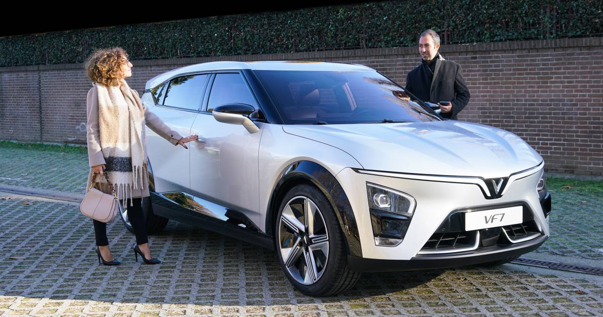 Ecco come arriva in Olanda il marchio automobilistico vietnamita Vinfast: cinque modelli pagati in criptovalute |  le auto