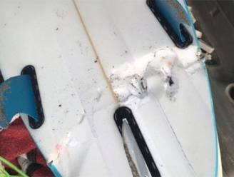 Haai stort zich op surfer (19) in Californië: “Mijn been zat in zijn muil”