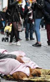 Werken in het buitenland belasting