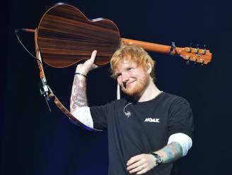 Ed Sheeran breidde gigantisch landgoed uit tijdens sabbatjaar: "Alle andere levensdoelen had ik al bereikt”