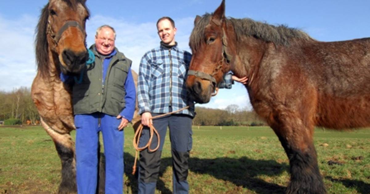 Walter Brunninkhuis: in de geest van zijn vader