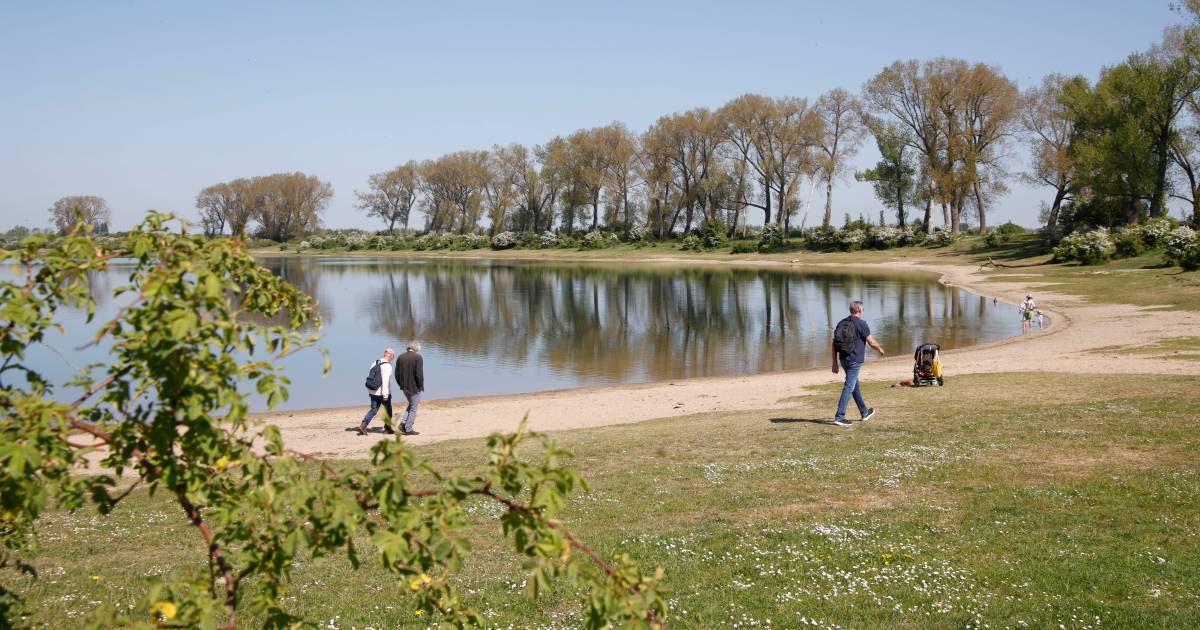 Un homme se masturbe à la plage, la victime prend une photo et cela convient très bien aux détectives |  Maison