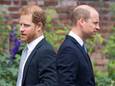 De Britse prins Harry (links) en prins William.