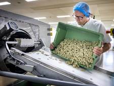 Nederlandse BenBits troeft multinational Mentos af: weg vrij voor ‘plasticvrije’ kauwgom