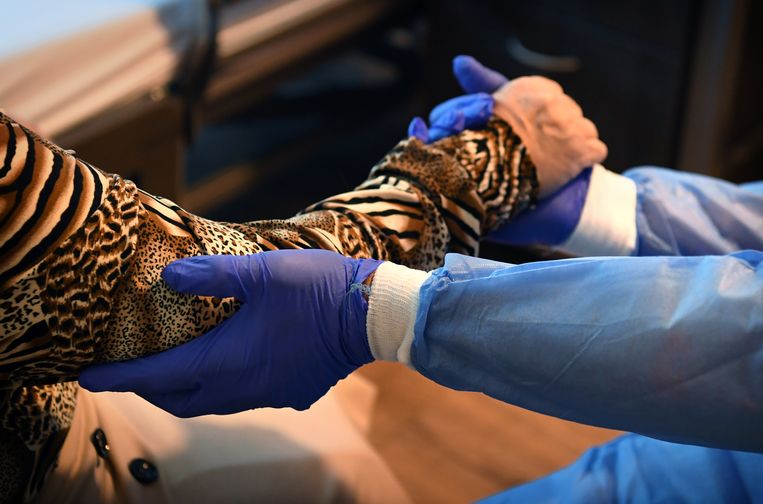 Fysiotherapie in een verpleeghuis in Hellendoorn, waar de patiënt in quarantaine zit na een mogelijke besmetting met het coronavirus. Beeld Marcel van den Bergh / de Volkskrant