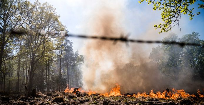 Het vuur bij Nationaal Park de Meinweg.