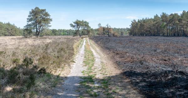 Hof spreekt man vrij van brandstichting bij Tongerense heide.