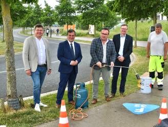 Signalisatie moet fietssnelweg F32 herkenbaarder maken, ook verdere realisatie richting Brugge op de agenda