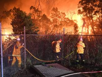 Bosbranden bedreigen huizen rond Sydney