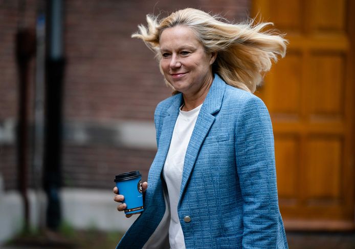 Sigrid Kaag En Ton Visser Kandidaat Lijsttrekker D66 Politiek Ad Nl