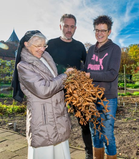 Sint-Catharinadal fungeert als proeftuin voor ingrediënten oer-Hollandse Tomasu-sojasaus