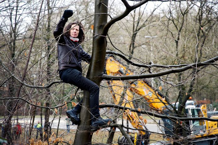 De Utrechtse activist Michel Eggermont klimt in een boom tijdens de kap van 1700 bomen voor de westelijke rondweg in Amersfoort in februari 2019.