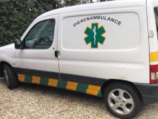 Automobilist rijdt hond dood in Zwaagdijk en gaat ervandoor