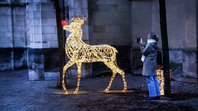 Lichtgevende sculpturen maken de donkere dagen voor kerst iets minder donker in Nijmegen