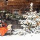 Winter wonderland: krijgen we dit jaar ein-de-lijk een witte kerst?