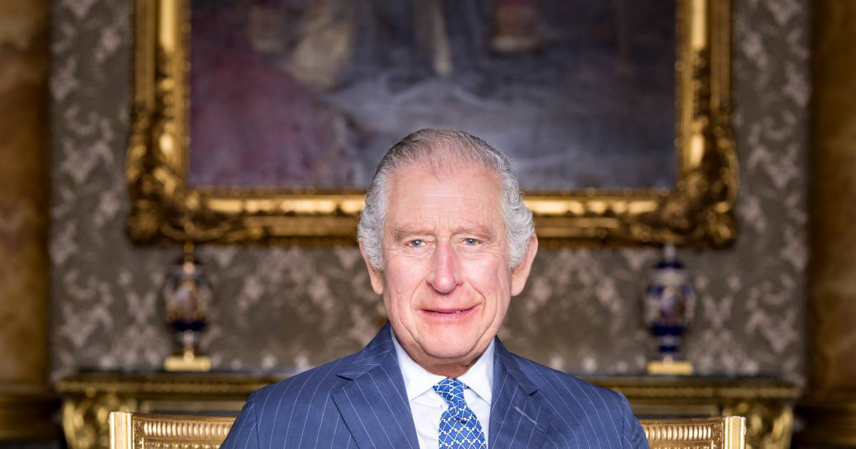 Buckingham Palace unveils new photos of Charles and Camilla |  Property