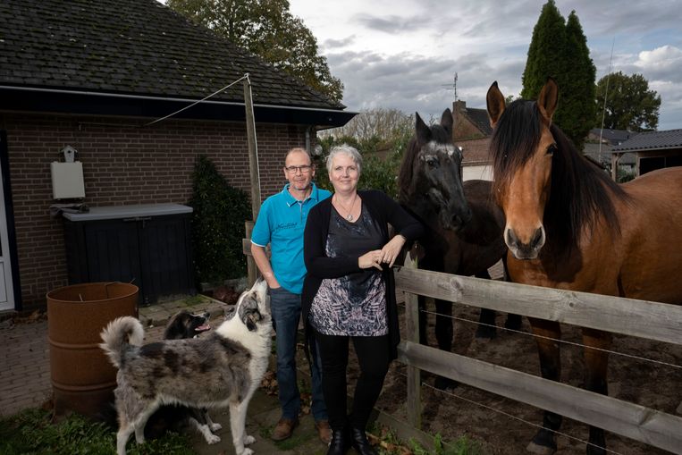 
Karin en Ronald Stijger uit Voorschoten wonen nu met paarden en honden en kat in het  landelijke Bergen. 
 Beeld Merlin Daleman