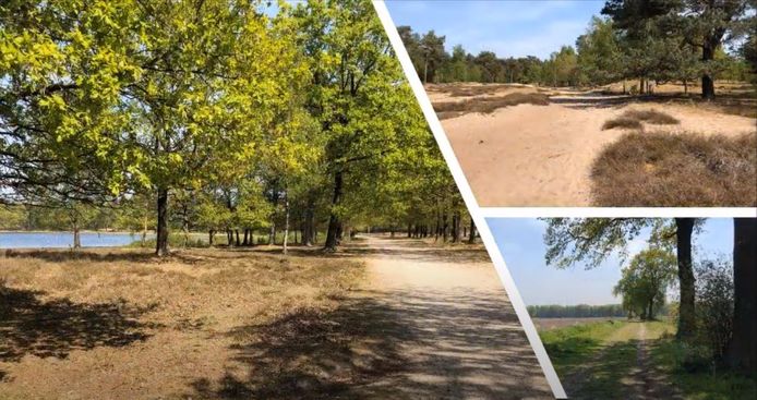 De 80 van de Osse Maaskant gaat onder meer via Herperduin.