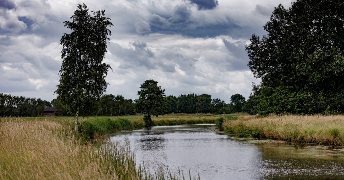 Beekherstel, op stap in het Markdal: 'Kijk daar, de weidebeekjuffer. Prachtig'