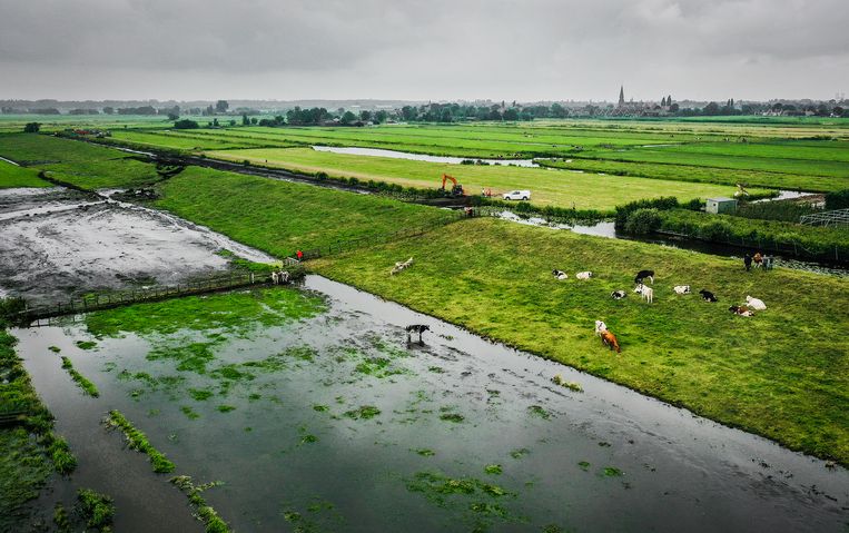 Wie is de schuldige van de dijkdoorbraak in Reeuwijk: de ...