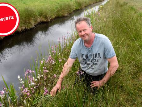 Plantje dat niet van stikstof houdt, duikt op naast veehouderij: hét teken dat landbouw en natuur naast elkaar kan bestaan?
