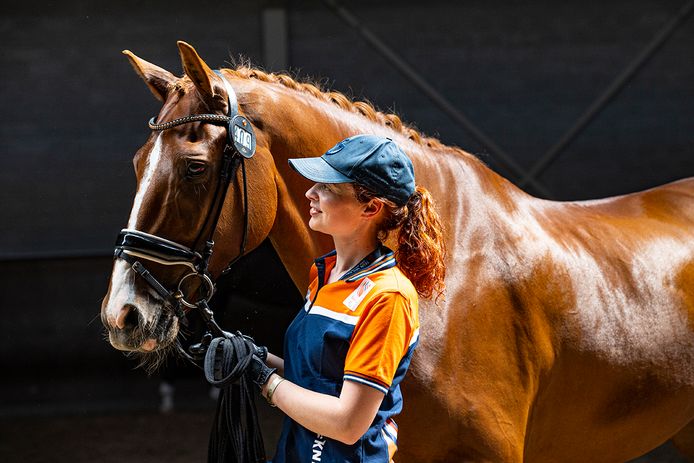 Bredase reist wereld rond door paardensport: ‘Wij vormen een hecht team ...