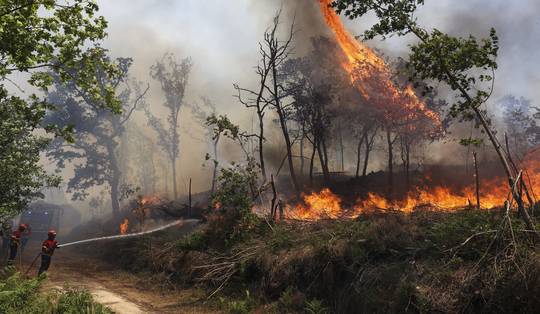 Negen gewonden bij bosbranden in Portugal • Bosbrand in de Aude gestabiliseerd, nog 150 brandweermannen aan het werk