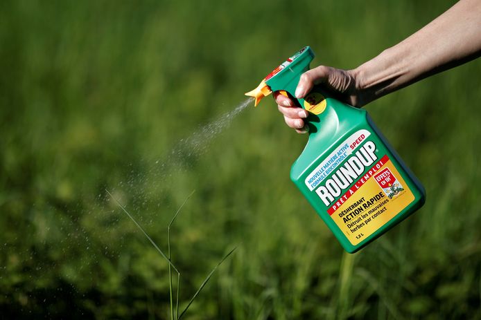 Roundup kankerverwekkend': beleggers laten Bayer vallen uit angst ...