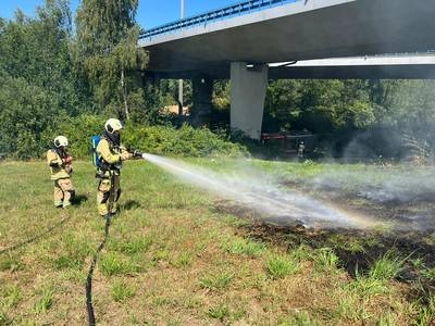 Vegetatiebrand onder viaduct Ring in Anderlecht