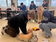 Gekwalificeerde EHBO-hulpverleners kwamen woensdag langs op de school om 161 leerlingen te leren reanimeren.
