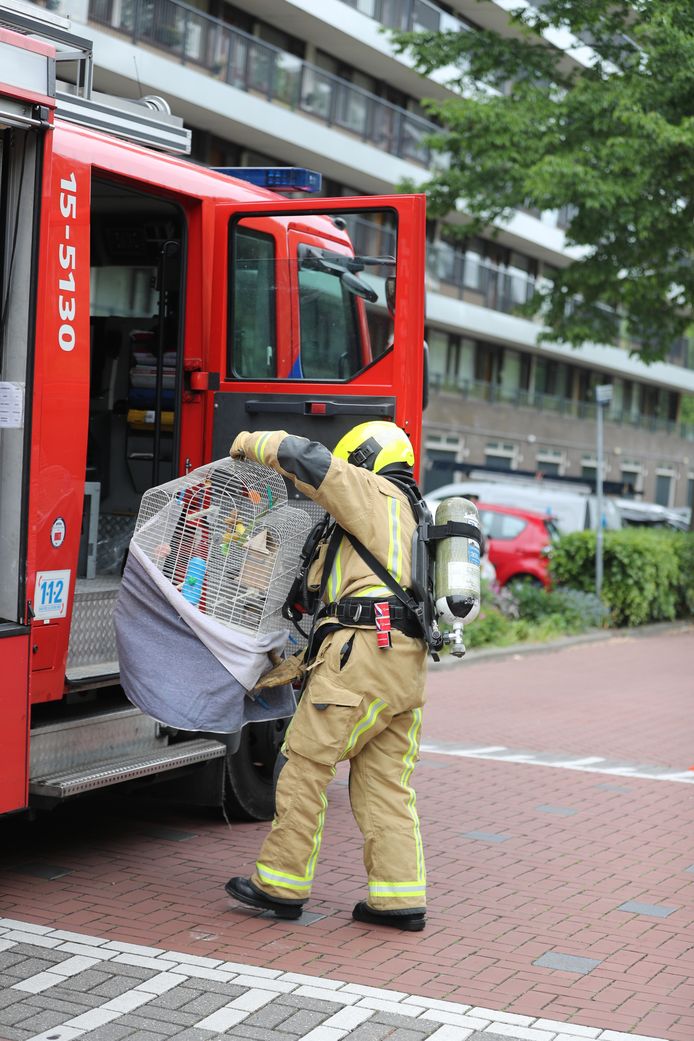 Een vogel en een hond zijn door de brandweer in veiligheid gebracht.