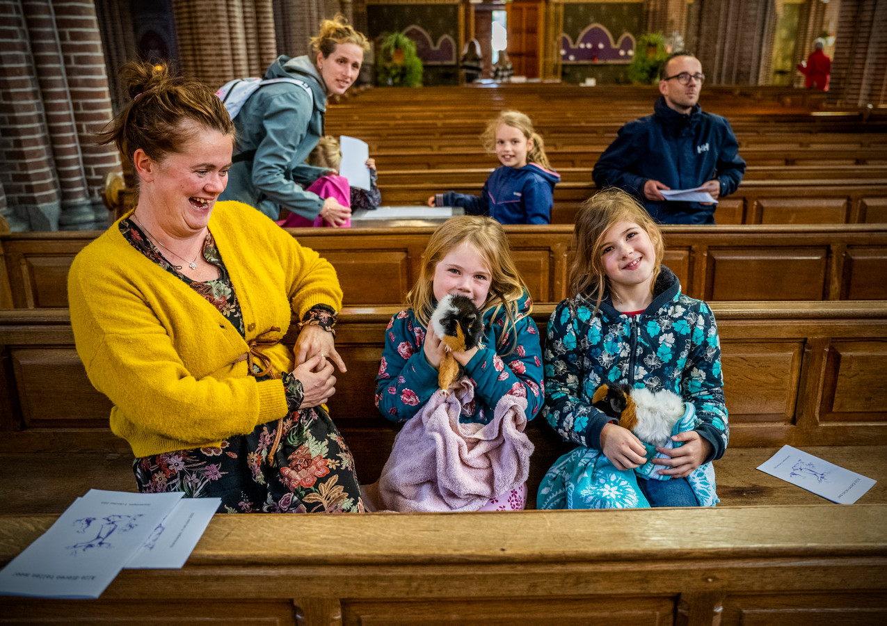 Deze Kerk Zegent Geiten Cavias En Honden ‘beetje Extra Hulp Van Boven Kan Voor Een Dier Geen 