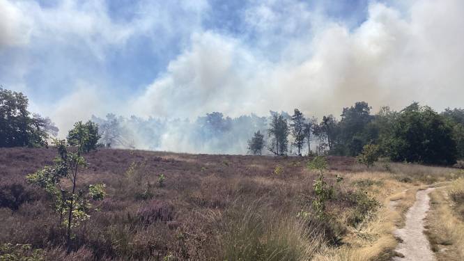 17 camions de pompiers déployés pour éteindre un important feu de broussailles à la frontière belgo-néerlandaise