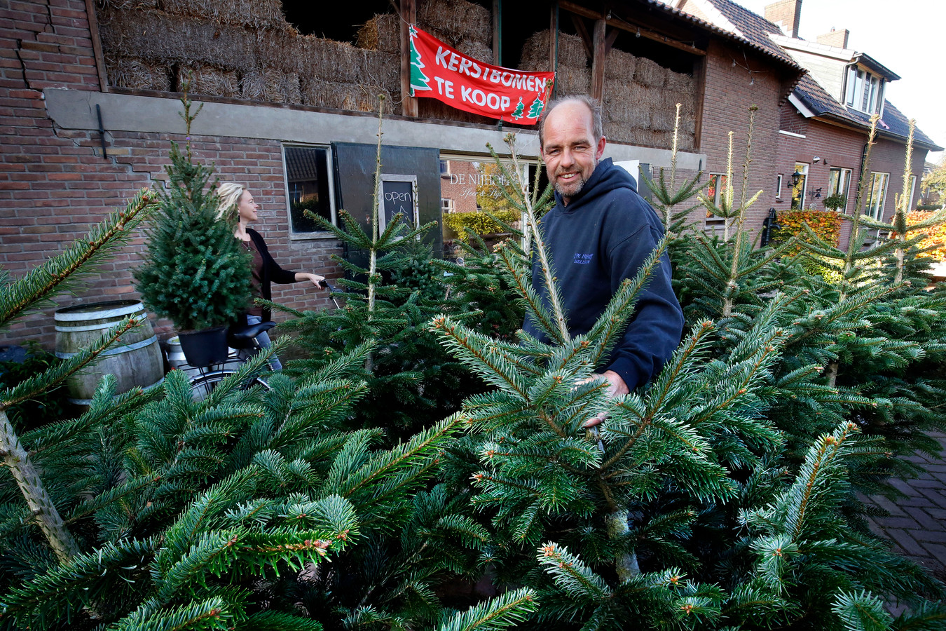 Teleurgesteld thermometer Zuidoost Verkoop van kerstbomen zwelt al vroeg aan door coronacrisis | Foto | AD.nl