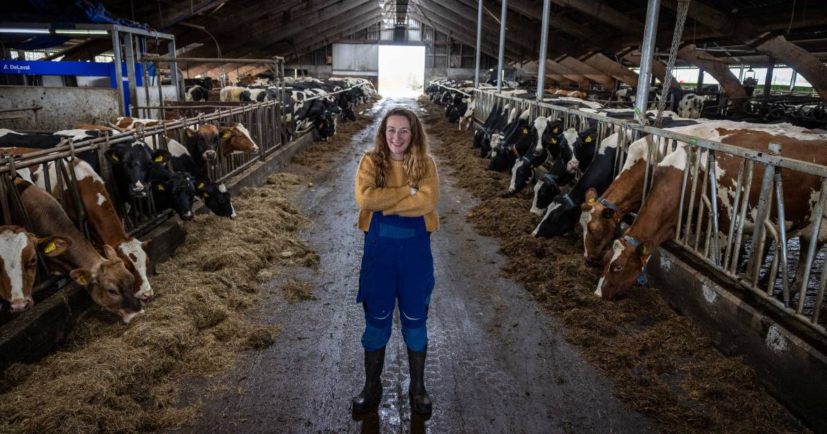 Boerendochter Amanda (30) uit Mastenbroek neemt boerderij over: ‘Is je vader er ook, vragen ze me’